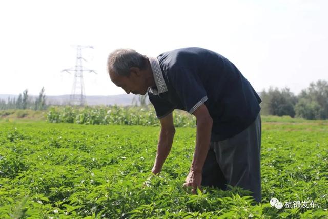 閯傚皵澶氭柉鐢靛晢鎵惰传,閯傚皵澶氭柉鍔犲ぇ鍐滄潙鐢靛晢鎵舵寔