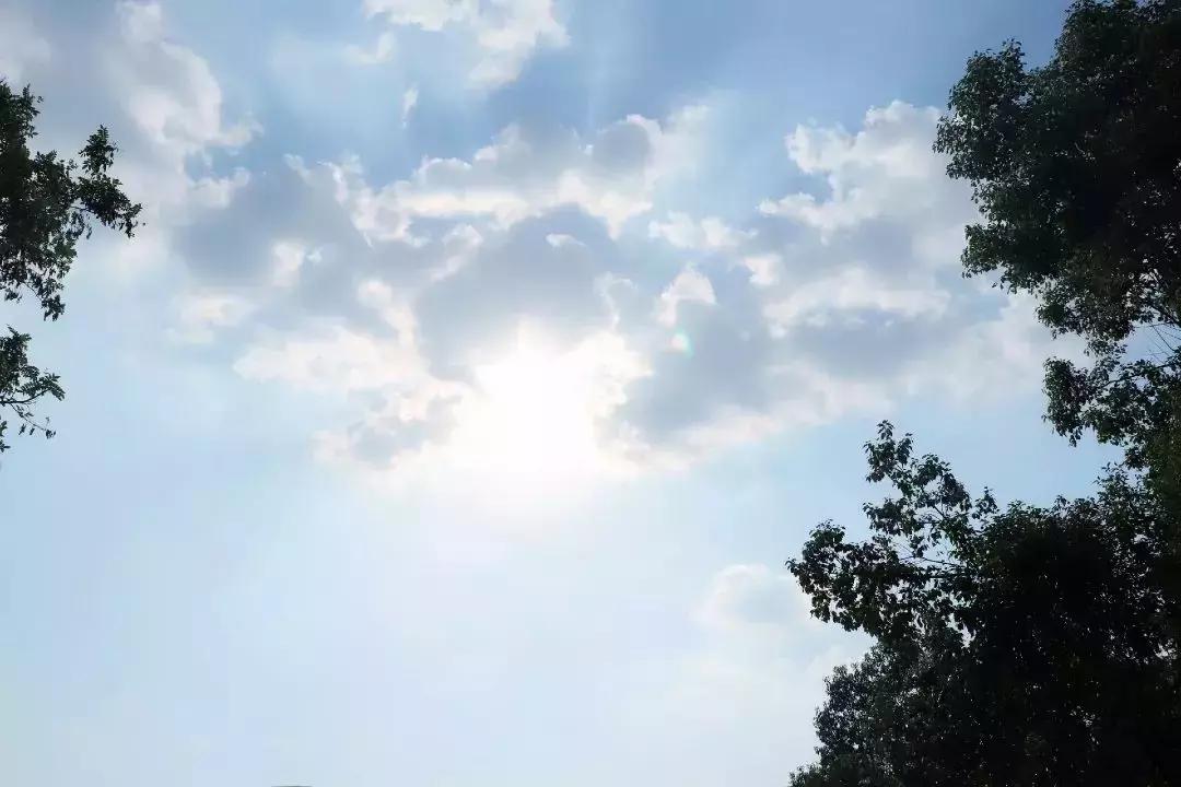 安财,我走了,请别为我哭泣