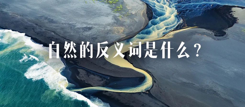 自然反义词是什么呢,自然的反义词是什么词