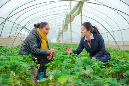 简单阐述家庭农场具有哪些优势,创办家庭农场的必要准备