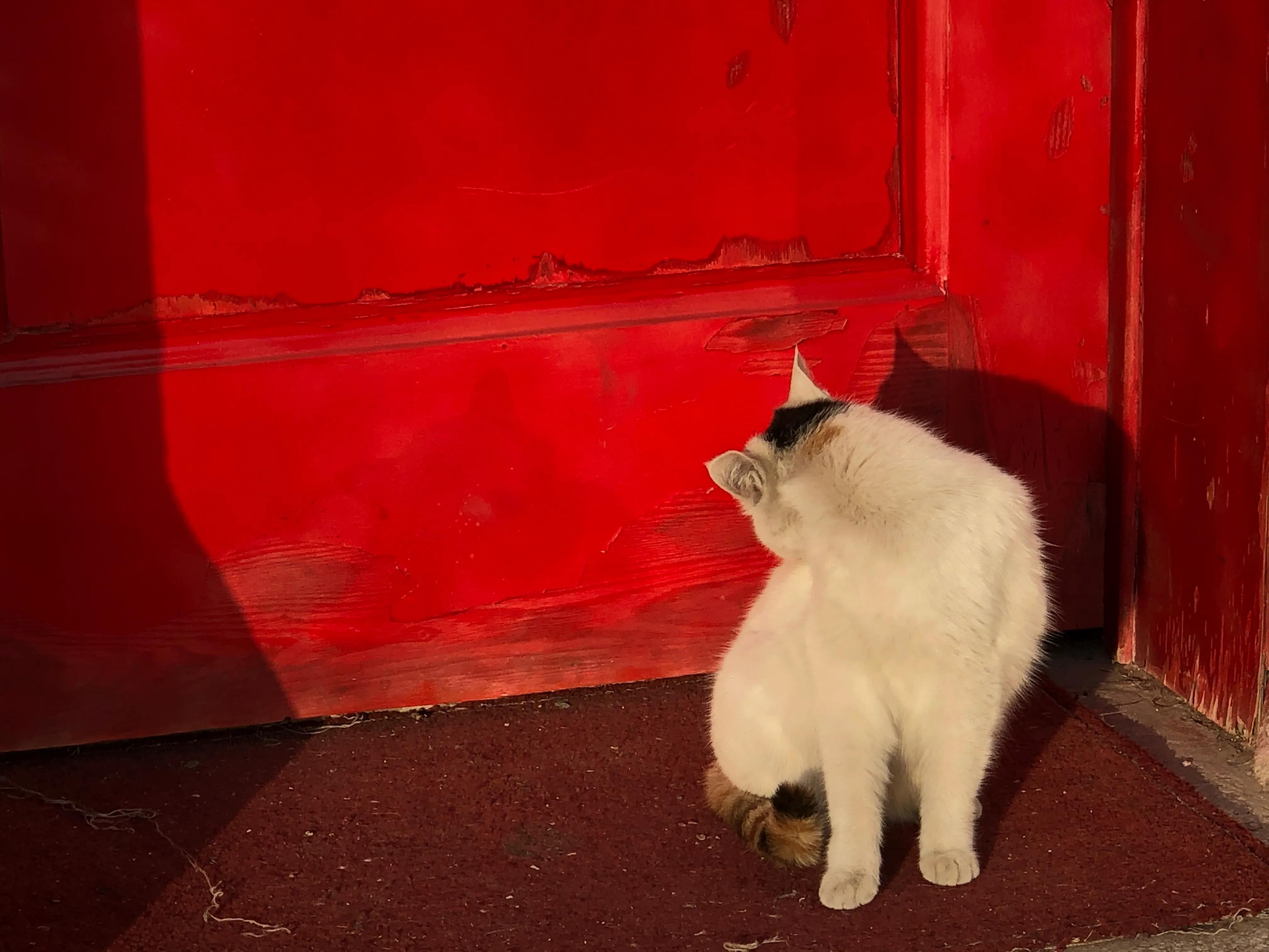 平顶山河滨公园旅游攻略,平顶山森林公园游记