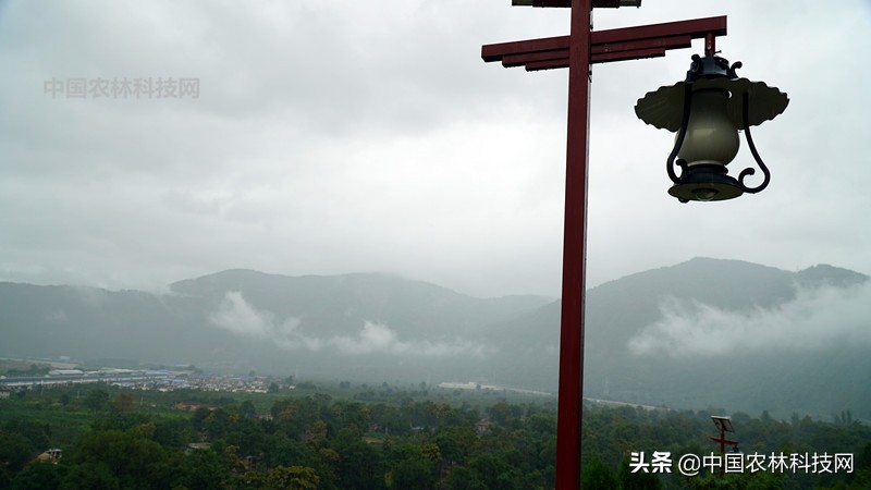 天水到大水川一日游,自驾游到天柱山停哪里最方便