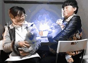 养猫怎样照顾猫,刚刚领养幼猫怎么养