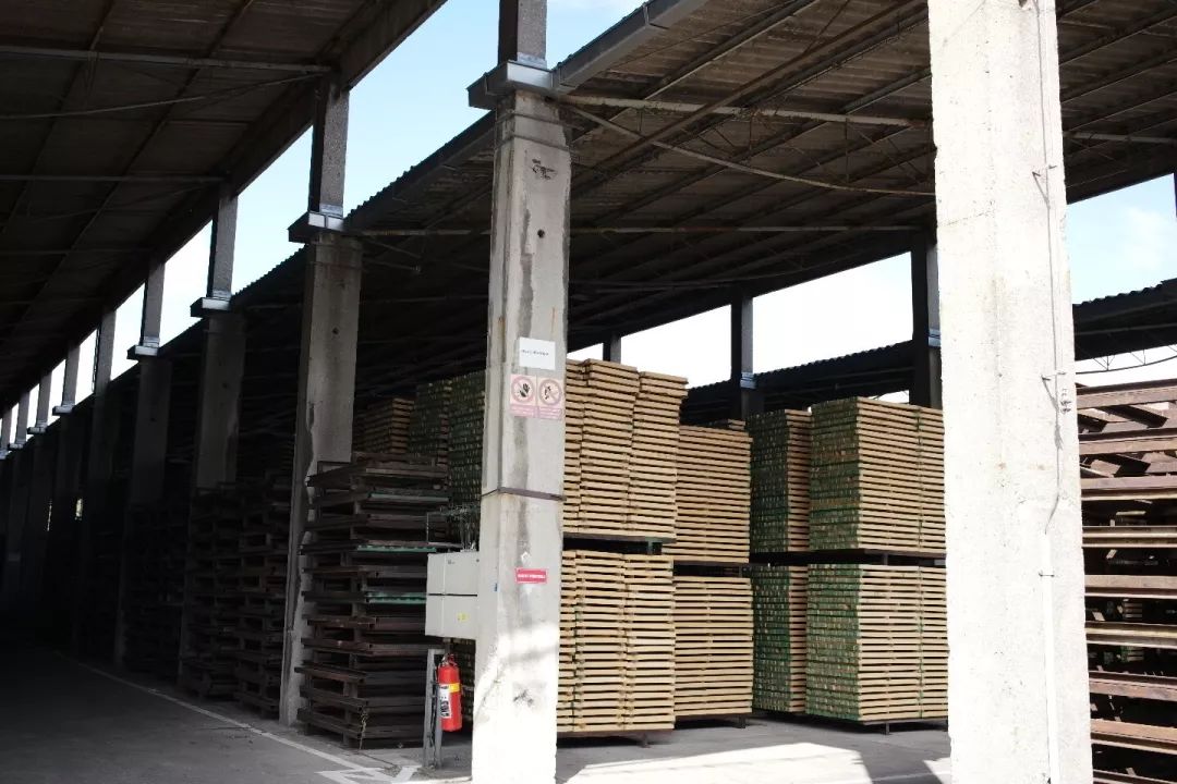 探访TON工厂看经典椅子背后的故事|疯狂24h我们去捷克干了啥？