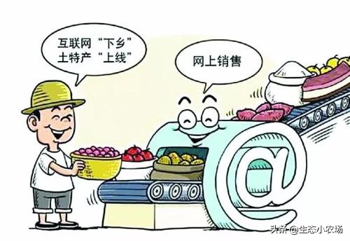 农村小本生意创业摆摊致富,未来农村创业的商机有哪些