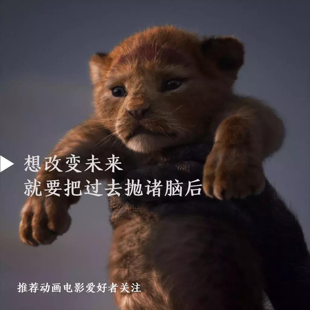 狮子王到底返不返场,狮子王口碑