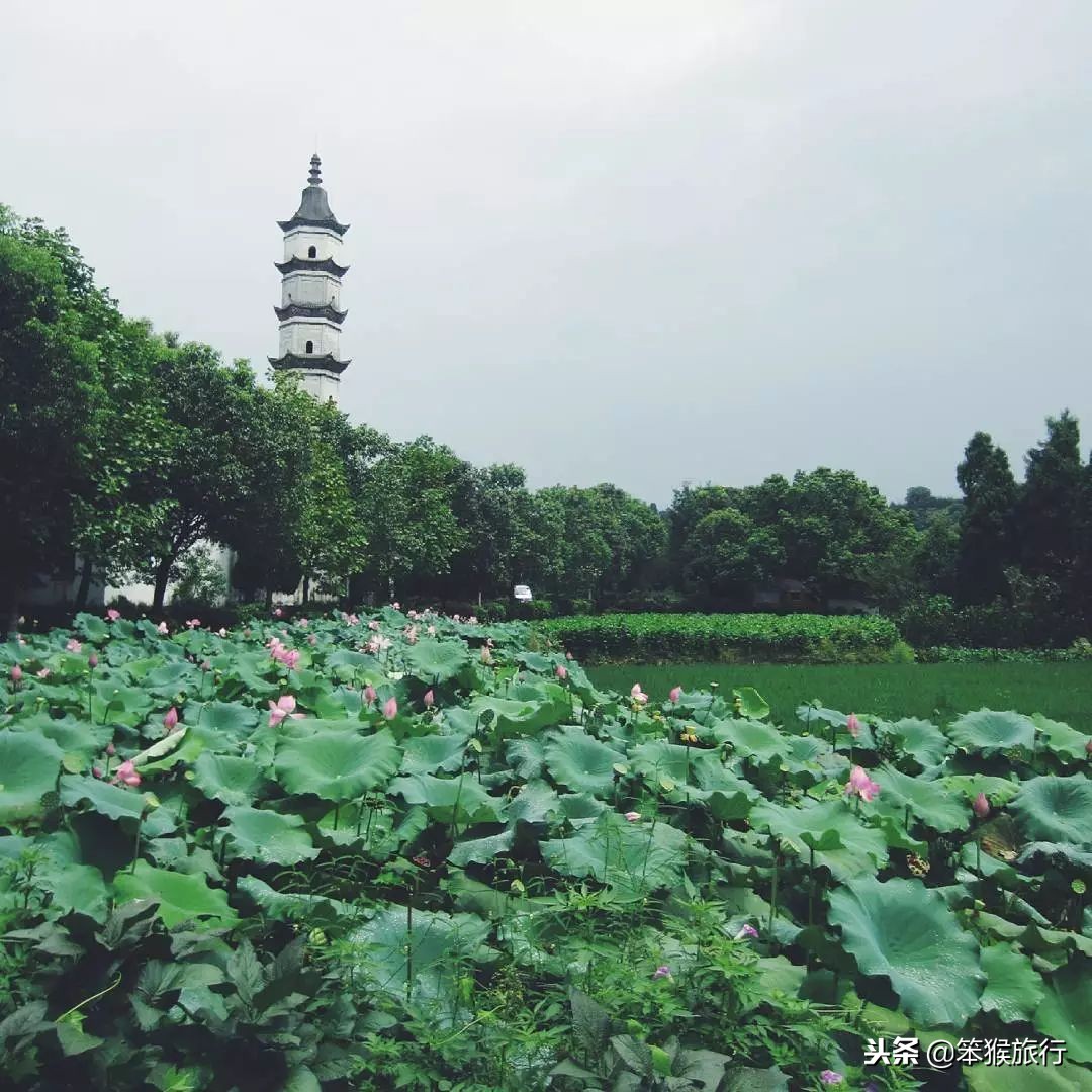 中国即将开通的超级高铁,中国最美高铁旅游线路排名