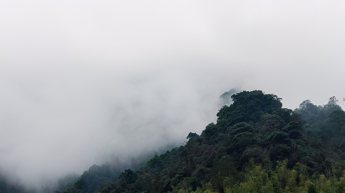 江西旅游攻略三天自由行攻略,江西三天两夜自由行旅游攻略