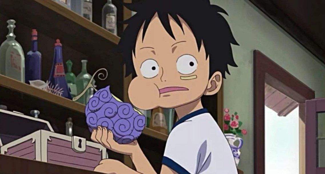 明哥海贼王吃的是什么果实,海贼王明哥是什么果实