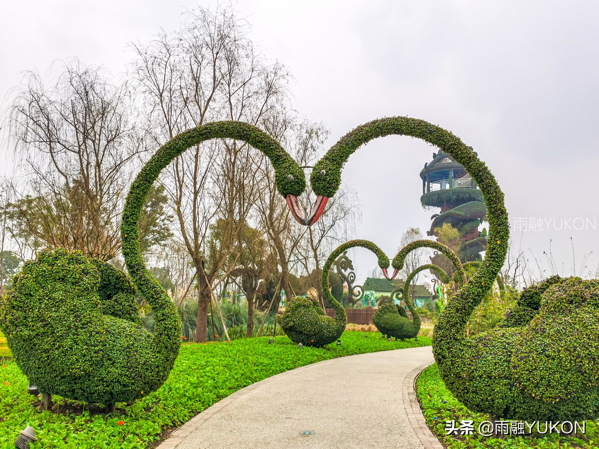 坐拥2项世界纪录的公园：拥有2.2万平米花海，门票仅30元却少有知