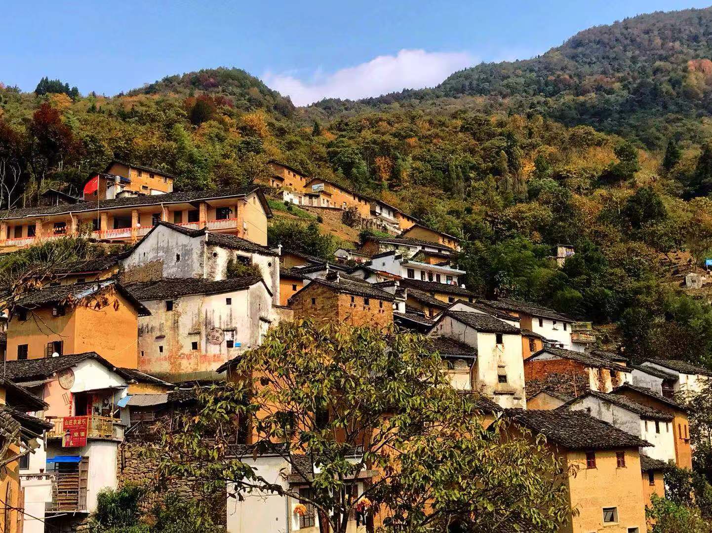 安徽必去五大旅游景点免费,安徽好的旅游村庄有哪些景点