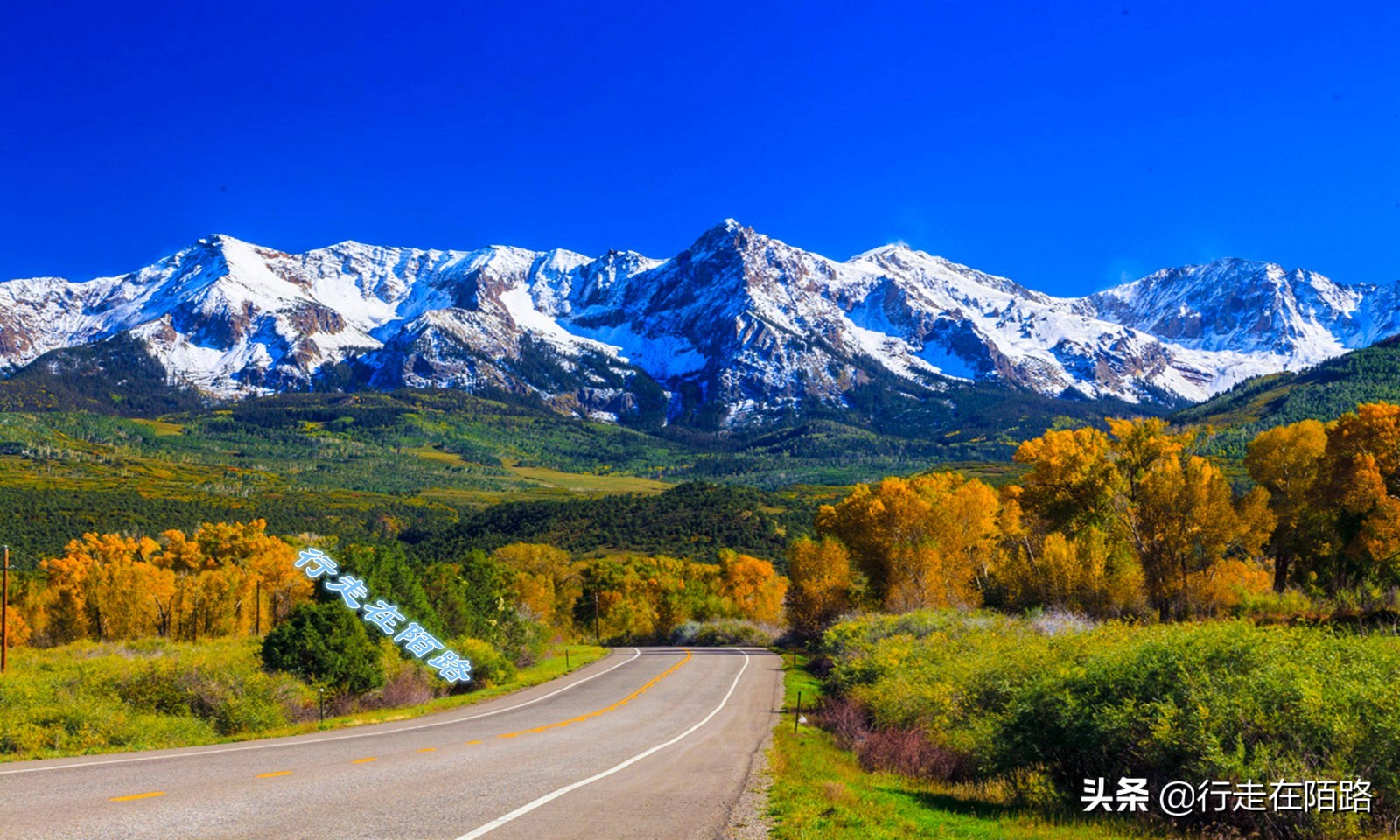 气候变暖引起的冰川变化,冰川大面积变暖