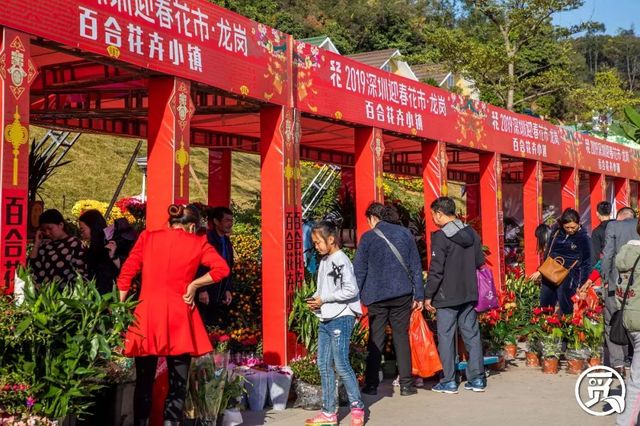 深圳花店有什么花,深圳龙华花店订花送花
