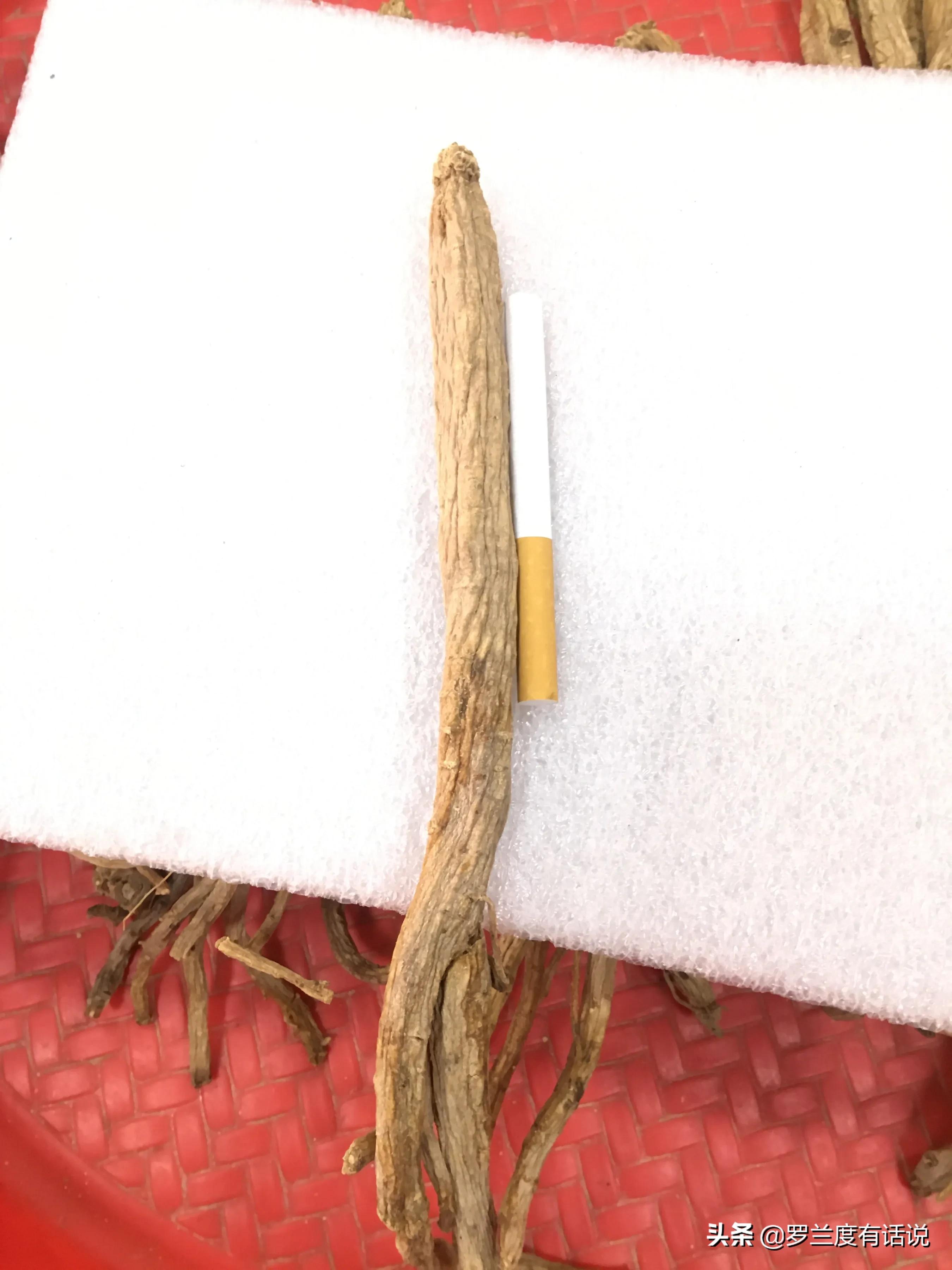 党参怎么选才是最好的,党参怎么选