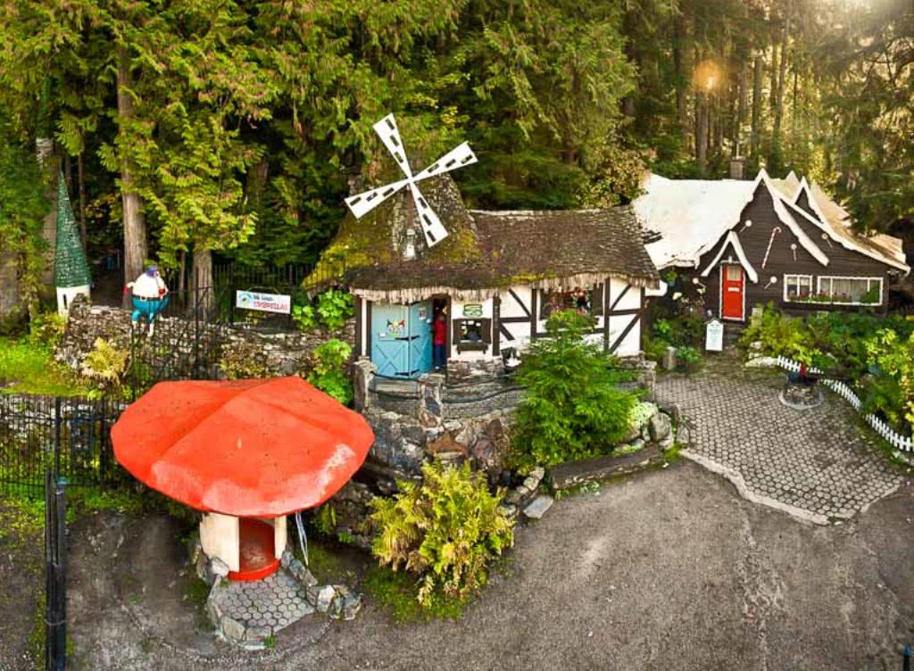 加拿大童话梦想！隐藏八百年前森林中，百万游客，老板：我不玩了