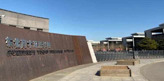 沈阳市浑南东北育才中学怎么样,沈阳的东北育才中学