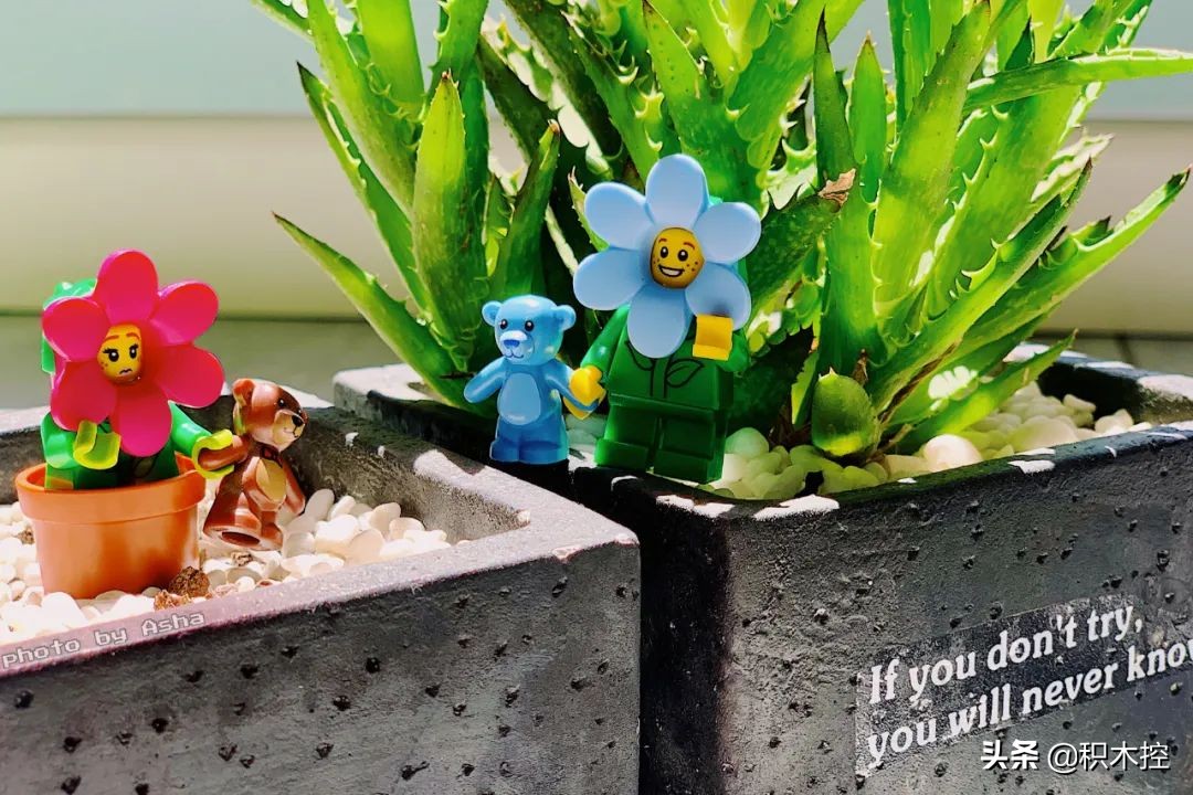 盘点乐高玩家,乐高玩家是怎么省钱的