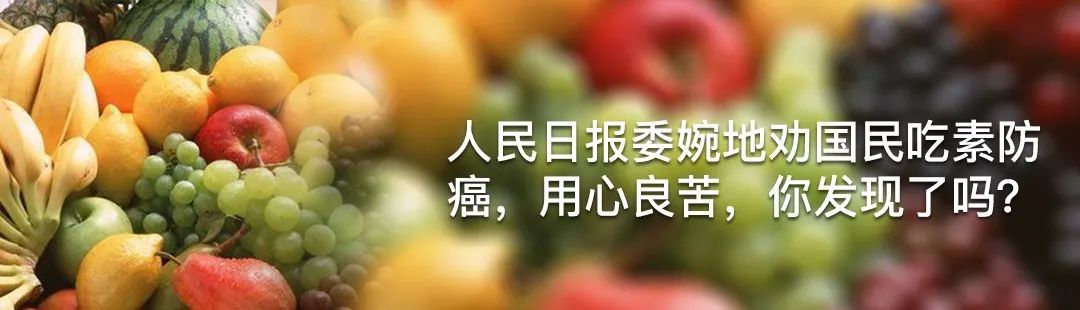 素食行业投资前景,素食市场前景分析