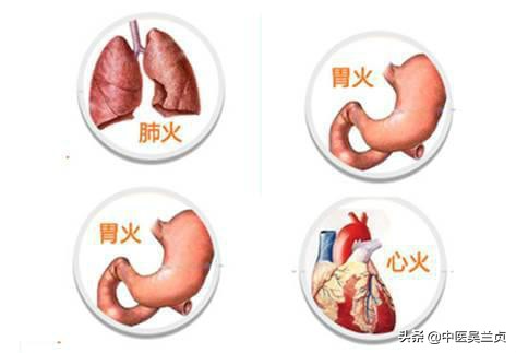 清火养肝养生茶去心火胃火,胃火心火旺盛吃清火胶囊