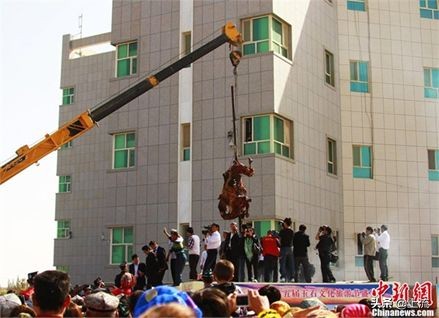 山东什么都大？*疆新**人不服