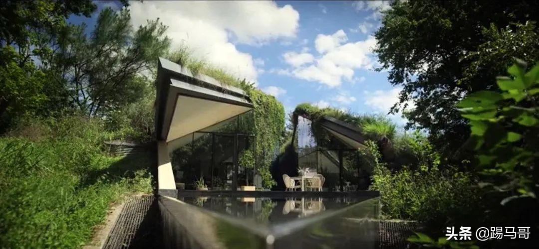 appletv出品的电影,appletv出品