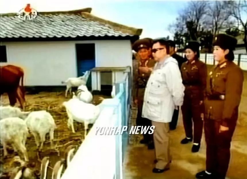 高颜值的朝鲜女兵,70年代朝鲜女兵