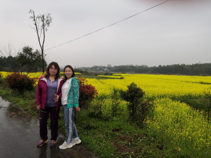 去安徽黄山玩攻略,安徽黄山三日游最佳攻略