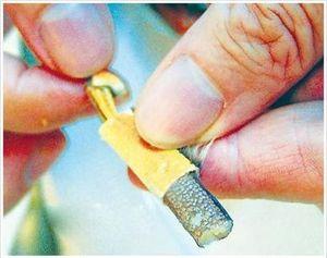 吃螃蟹有技巧，10步图解正确吃蟹方法