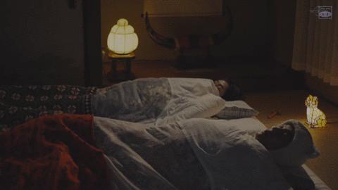 那个孤独的美食家，改行做了猫界家政妇。