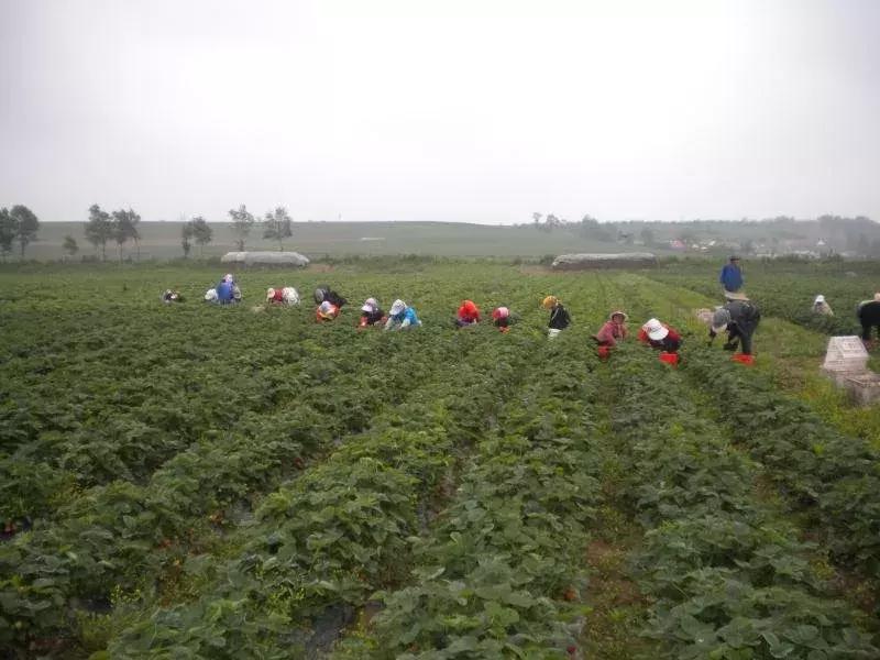 700cc奶茶挣不挣钱,700cc都市茶饮加盟赚钱吗