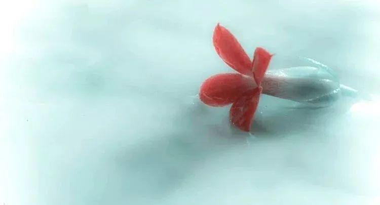 美丽而又优雅迷人善良的女人,女人的美是清新靓丽善解人意