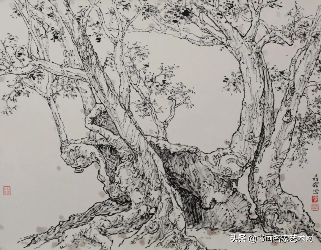 「艺术中国」——张森霖美术作品集