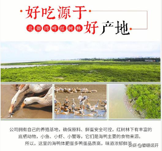 没想到一颗鸭蛋也能做出如此美味,如何用鸡蛋吃出蟹黄味