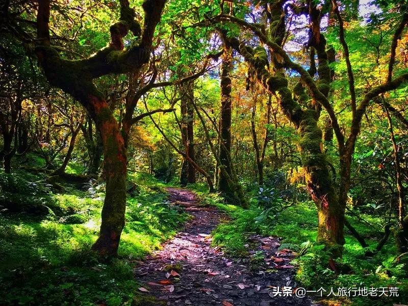 最经典的七条穿越线路,中国顶级穿越路线