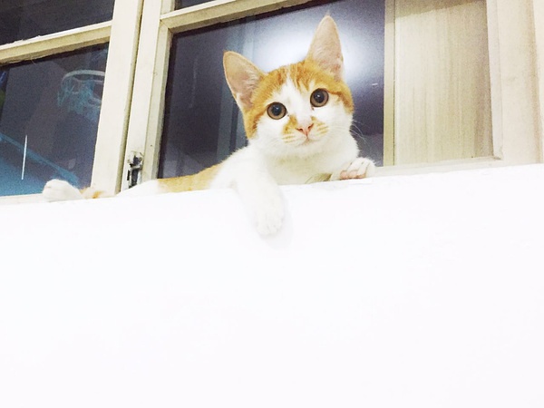 最近广州租房一楼哪里便宜又好,广州租房最便宜的区排行