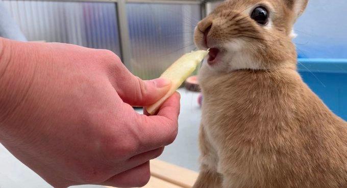 上厕所如何不被水溅到,上厕所怎么能不让水溅身上