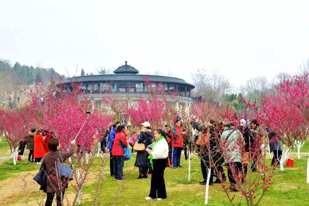 淮南舜山比赛,淮南舜耕山自行车越野