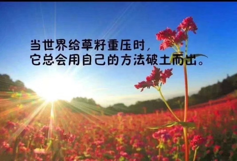 嘉年华图片,嘉年华活动