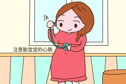 怀孕多少周才能真正查出胎心,孕妇的胎心和宝宝的胎心频率区别