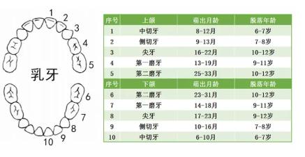 宝宝突然口水增多是什么原因,宝宝突然口水增多吃奶会哭