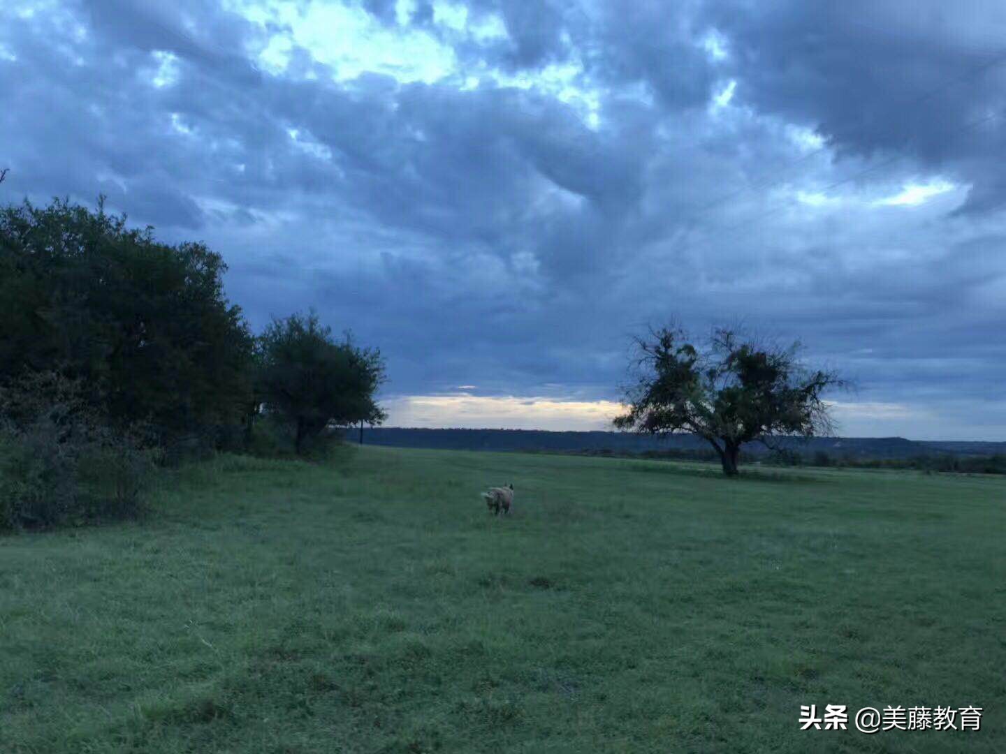 芝加哥大学是好学校吗,芝加哥大学是顶级吗