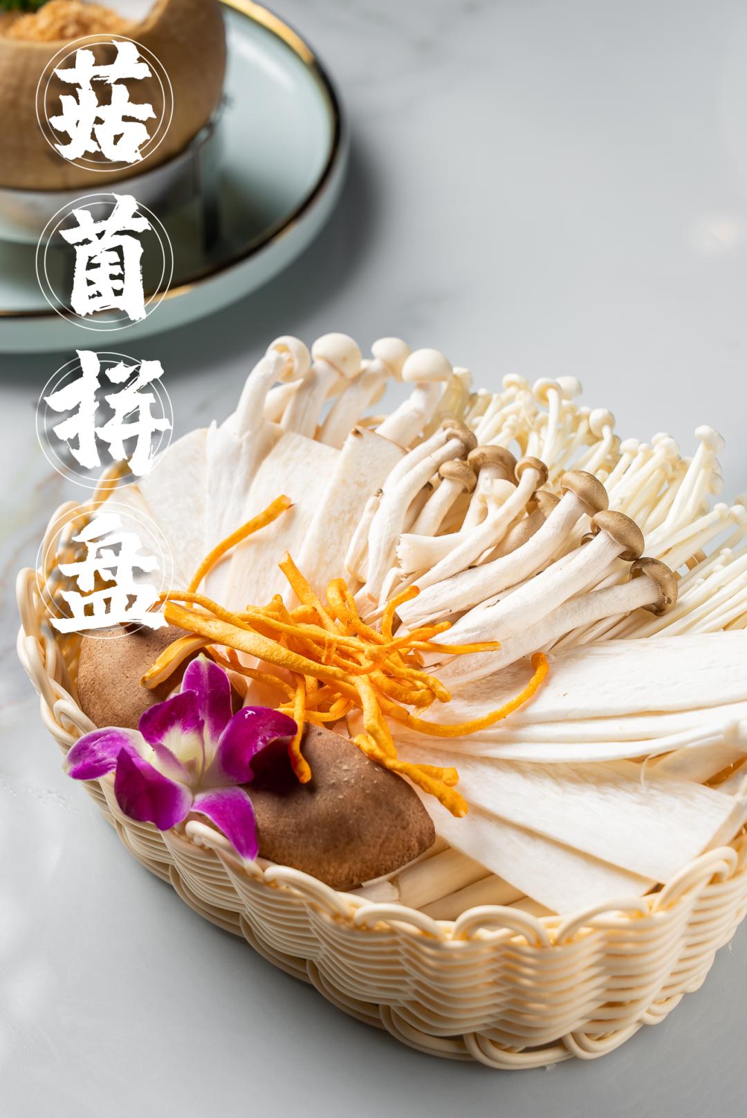 泰国鸡和缅鸡杂交后代,中泰越混血椰子鸡