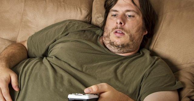 减脂过程中脂肪率升高怎么办,减脂的真相纪录片