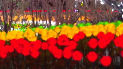 吉林延边旅游攻略,吉林延边旅游攻略亲子游