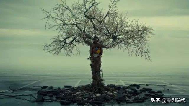 这五部剧全程高能,五部高分美剧续集