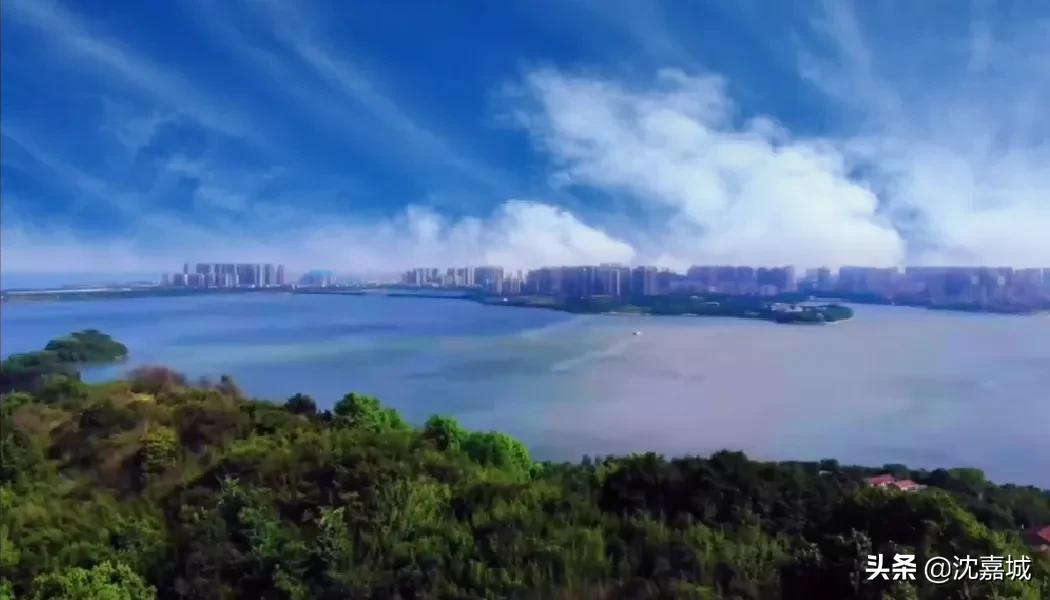 龙山公园有什么项目,岳阳龙山风景区在哪里