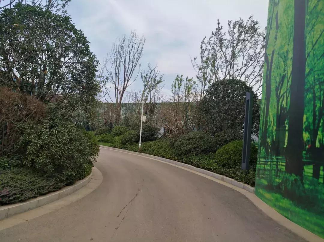 白沙洲告别篇:留汉大学生“首站”青菱新区