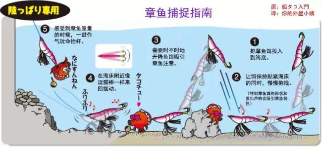 日本捕捉巨型章鱼,日本捕捉94条脚的章鱼