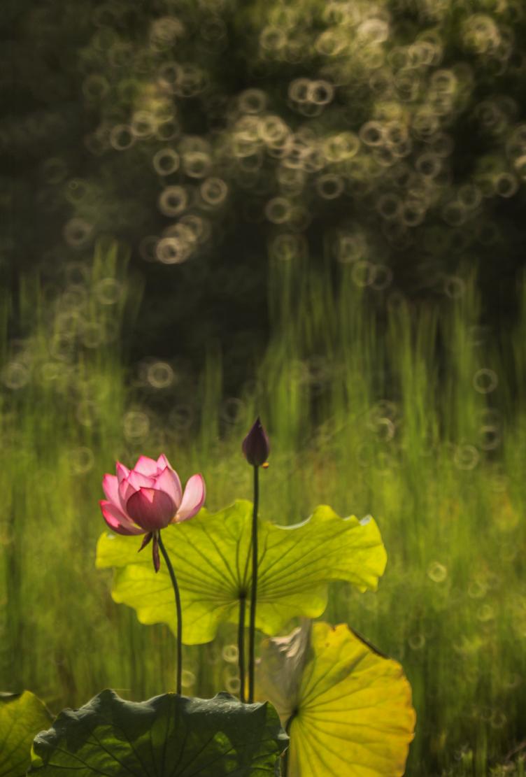 香港第14届全国摄影艺术展,第29届全国摄影艺术展览获奖名单