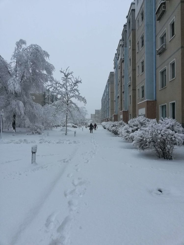 曲红旗：“大雪”即景